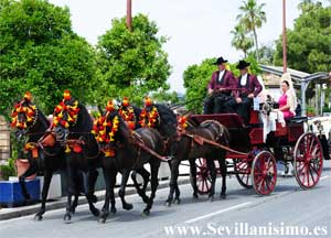 Exhibicin de Carruajes - Feria de Abril de Sevilla
