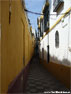 Callejn Barrio Santa Cruz - Sevilla