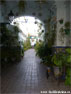 Casas Patio - Triana de Sevilla