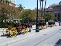 Coche a Caballo - Sevilla