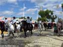 Feria de Abril Paseo de Caballos - Sevilla