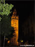 Giralda de noche - Sevilla