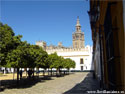 Patio de Banderas de Sevilla