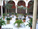 Patio Sevillano