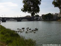 Ro Guadalquivir de Sevilla