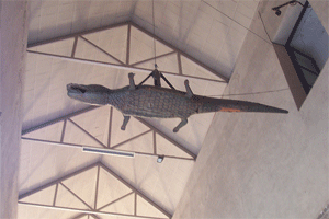 El lagarto de la Catedral de Sevilla
