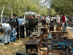 Mercadillo Charco la Pava - Sevilla
