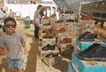 Mercadillo del Parque Alcosa - Sevilla