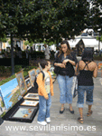 Mercadillo Plaza del Museo - Sevilla