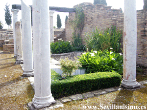 Ruinas de Itlica - Sevilla