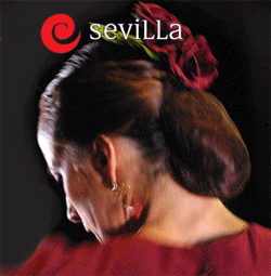 Museo del baile flamenco de Sevilla