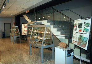 Museo de Geologa de la Universidad de Sevilla