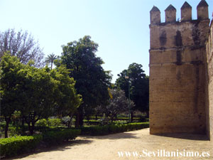 Jardines Del Valle - Sevilla