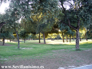 Parque del Alamillo - Sevilla