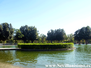 Parque Amate - Sevilla