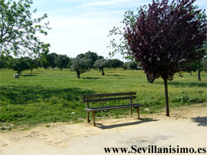 Parque de los Bermejales - Sevilla