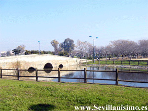 Parque de Miraflores - Sevilla