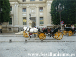 Paseo coche caballos - Sevilla.
