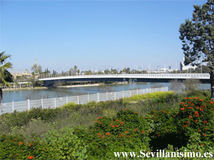 Puente o Pasarela de la Cartuja - Sevilla
